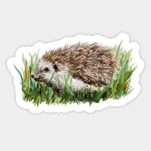 Hedgehog in the Grass Sticker